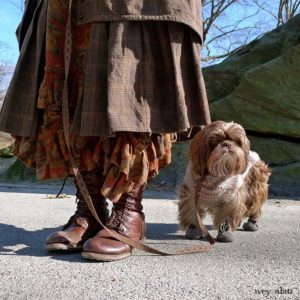 Loyal dog with well dressed woman.