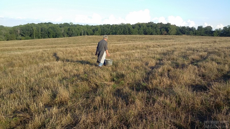 Leslie working on her North Carolina farm wearing her Ivey Abitz Phinneus Coat Dress in Wolfie Grey Crinkled Voile.