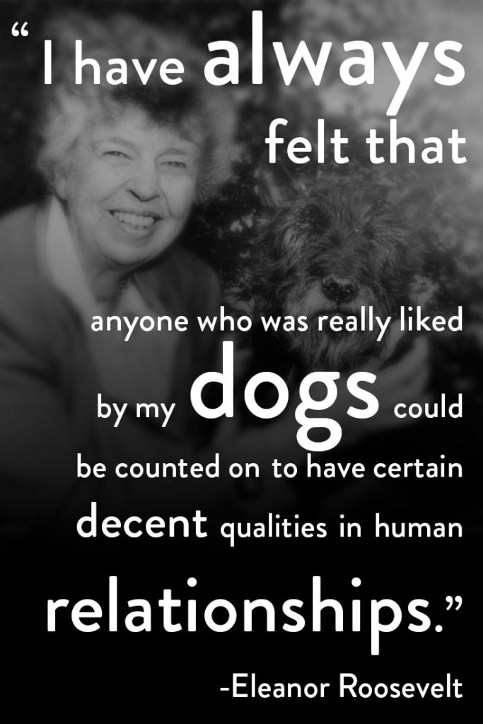 Eleanor's Litmus Test - a quote from Eleanor Roosevelt about dogs and human relationships.